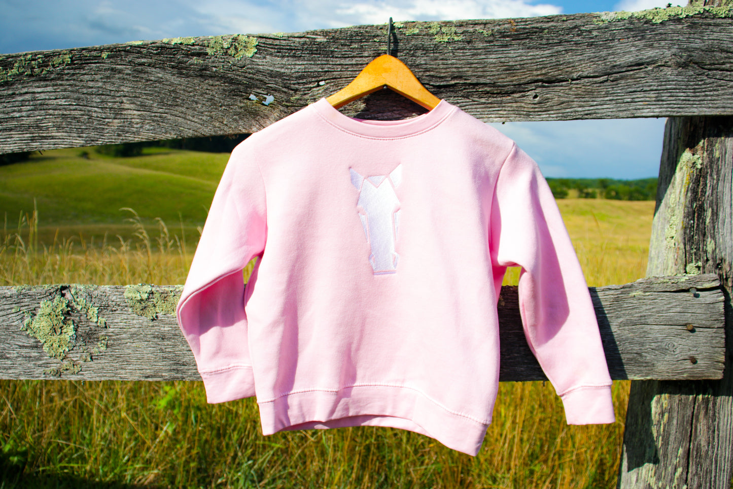 Eva Toor Sweatshirt